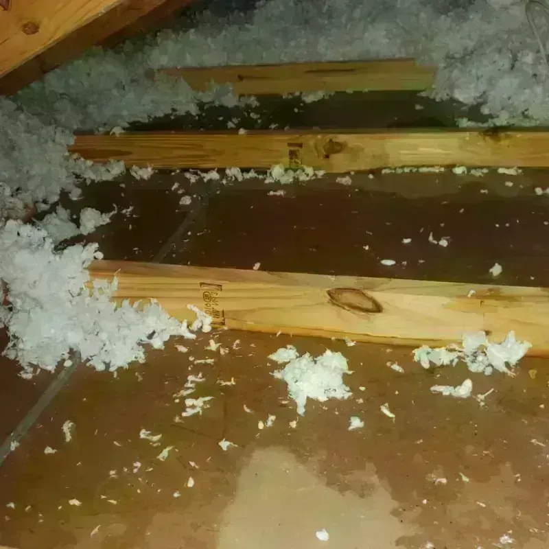 Attic Water Damage in Hardwick, VT